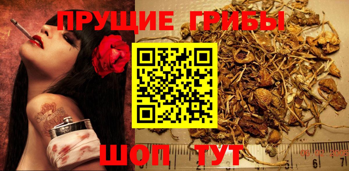 Галлюциногенные грибы ЛСД  Галлюциногенные грибы Psilocybine cubensis  Алатырь  Вход с VPN 
